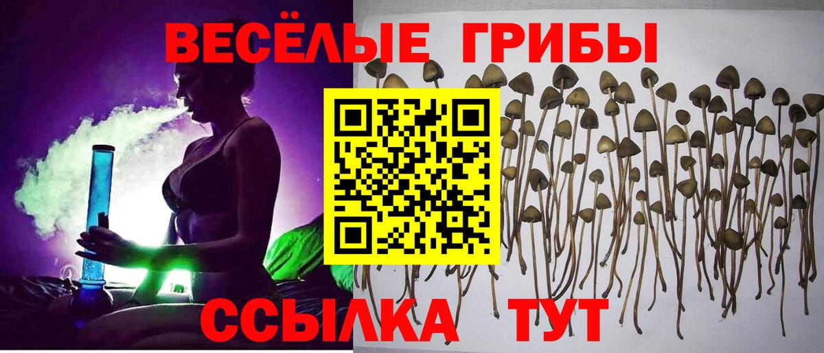 Галлюциногенные грибы MAGIC MUSHROOMS Сосновоборск