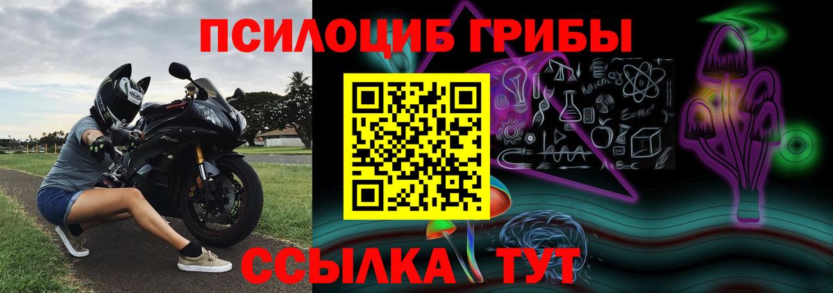 Галлюциногенные грибы Psilocybine cubensis  Галлюциногенные грибы MAGIC MUSHROOMS  Вход с VPN  что такое наркотик  Сосновоборск 
